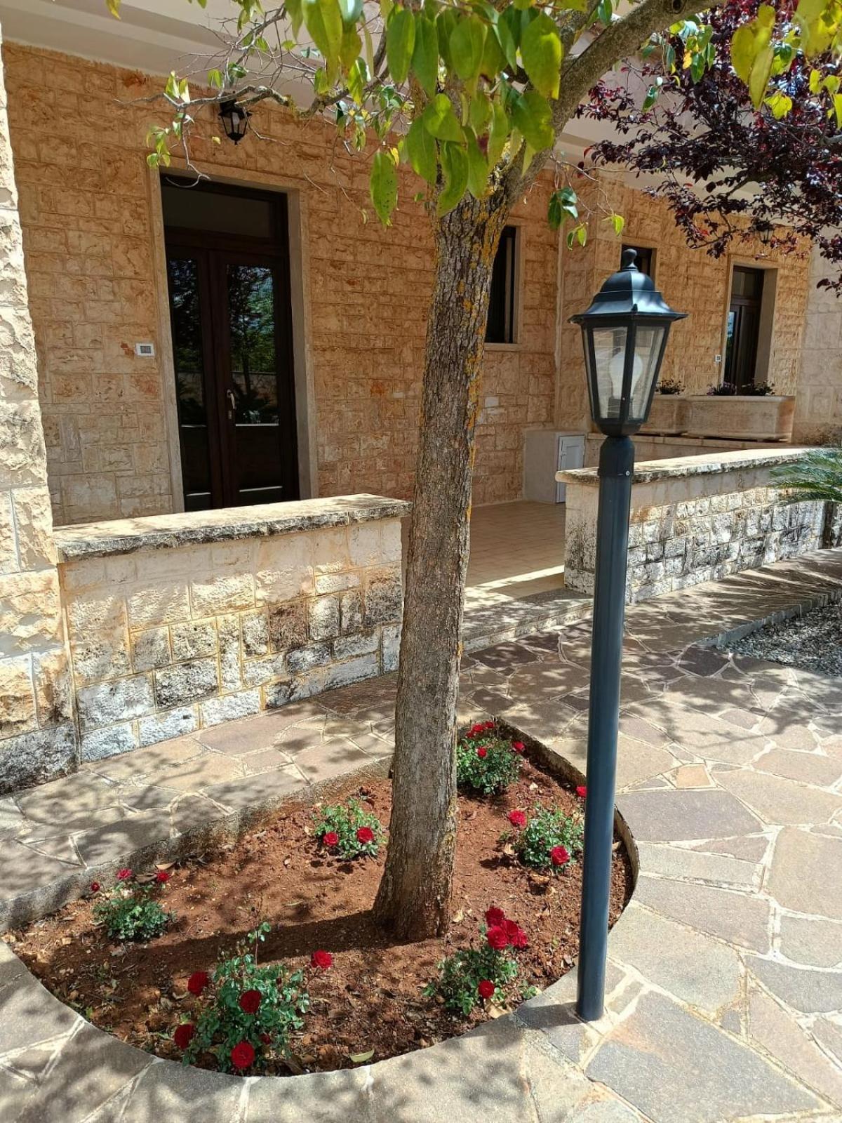 Villa Lisi Selva Di Fasano Dış mekan fotoğraf